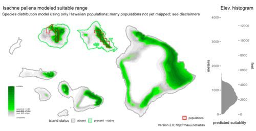 Distribution of Isachne pallens in Hawaiʻi.