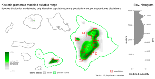 Distribution of Koeleria glomerata in Hawaiʻi.