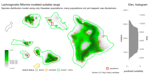 Distribution of Lachnagrostis filiformis in Hawaiʻi.