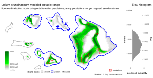 Distribution of Lolium arundinaceum in Hawaiʻi.