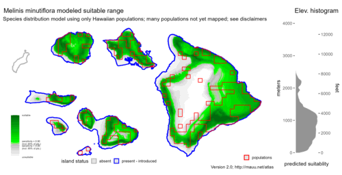 Distribution of Melinis minutiflora in Hawaiʻi.