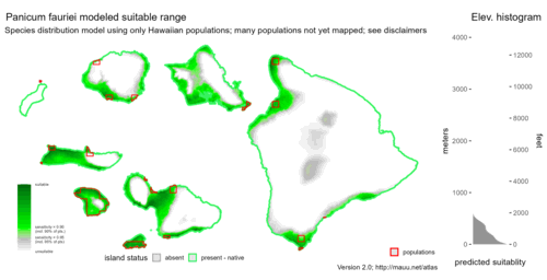 Distribution of Panicum fauriei in Hawaiʻi.