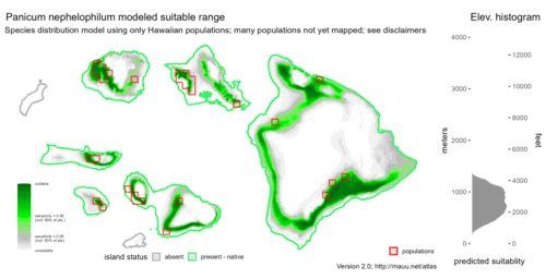 Distribution of Panicum nephelophilum in Hawaiʻi.