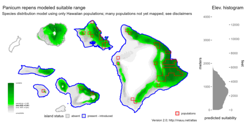 Distribution of Panicum repens in Hawaiʻi.