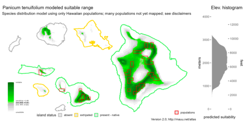 Distribution of Panicum tenuifolium in Hawaiʻi.