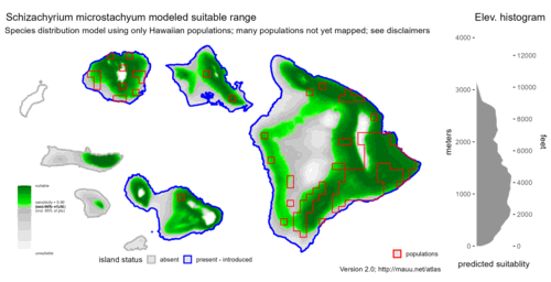 Distribution of Schizachyrium microstachyum in Hawaiʻi.