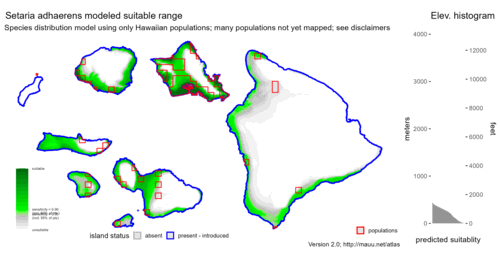 Distribution of Setaria adhaerens in Hawaiʻi.