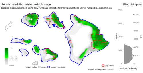 Distribution of Setaria palmifolia in Hawaiʻi.