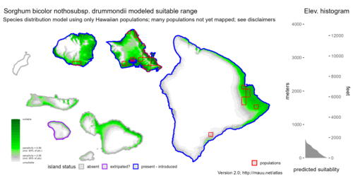 Distribution of Sorghum bicolor nothosubsp. drummondii in Hawaiʻi.