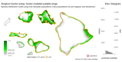 Distribution of Sorghum bicolor subsp. bicolor in Hawaiʻi.