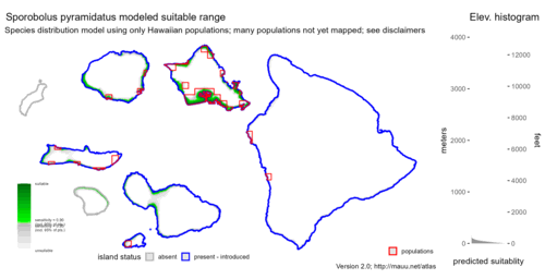 Distribution of Sporobolus pyramidatus in Hawaiʻi.