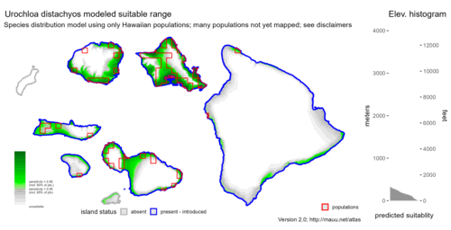 Distribution of Urochloa distachyos in Hawaiʻi.