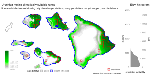 Distribution of Urochloa mutica in Hawaiʻi.