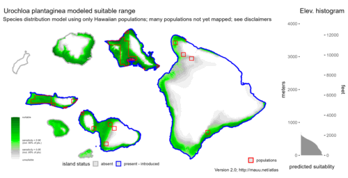 Distribution of Urochloa plantaginea in Hawaiʻi.